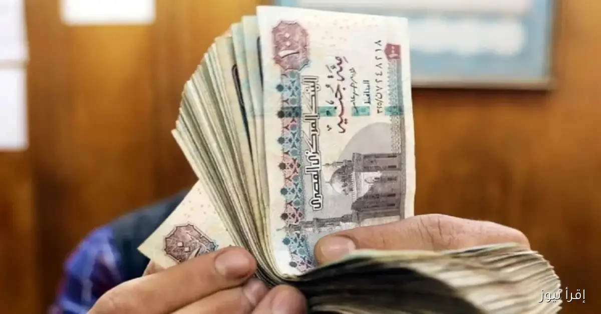 متى يبدأ صرف معاشات شهر نوفمبر 2025