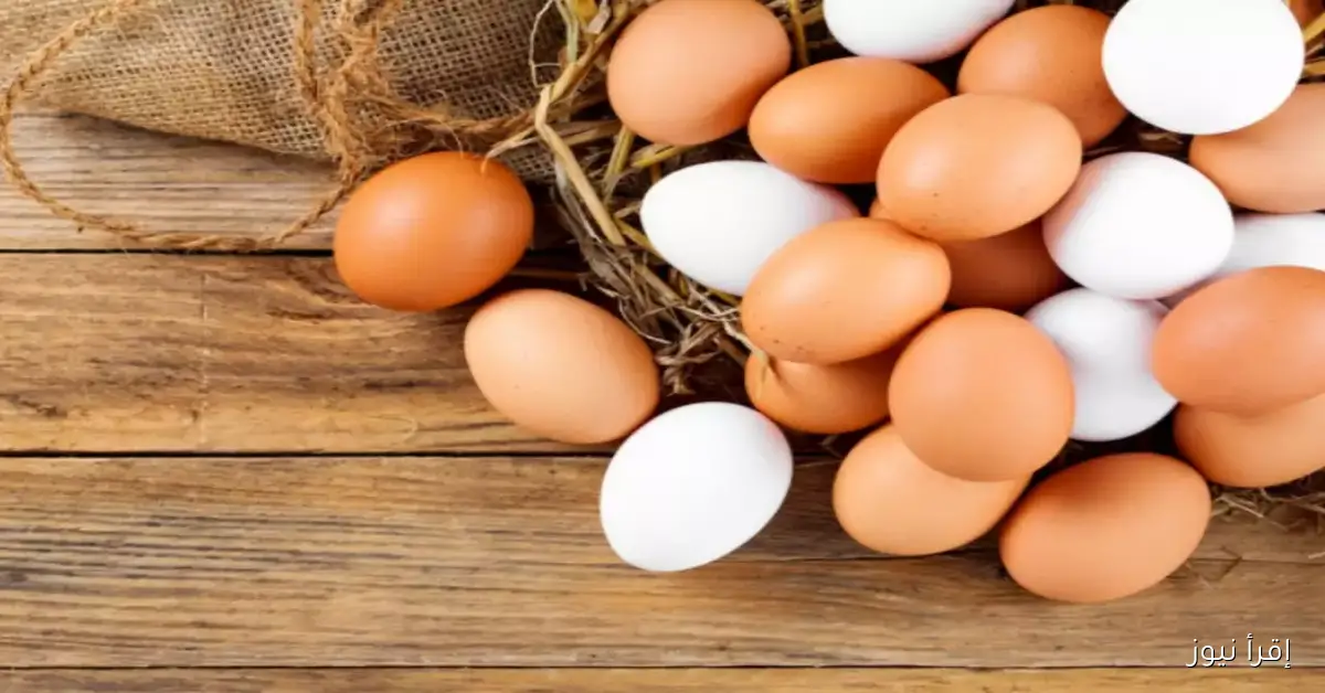 “أبيض وأحمر” سعر كرتونة البيض اليوم الاربعاء 5 نوفمبر 2025 للمستهلك في مصر