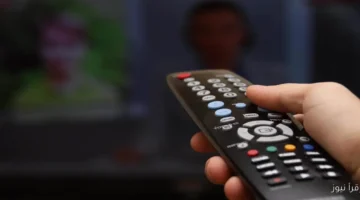 17057173311707472881 1