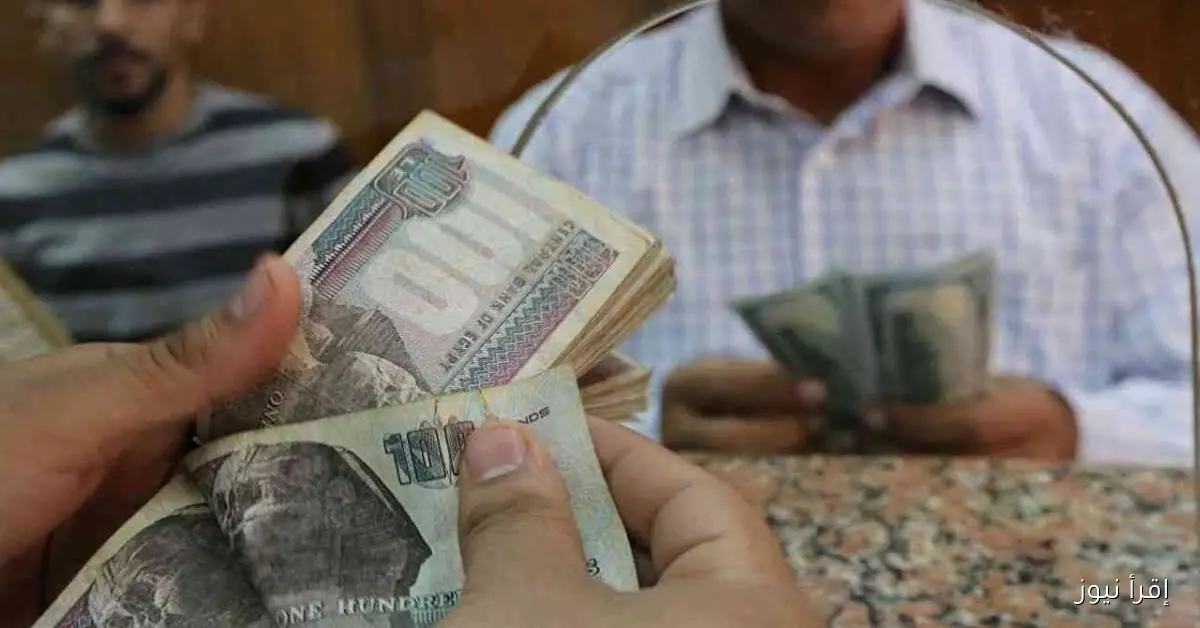 “بشري سارة للموظفين” موعد صرف مرتبات شهر نوفمبر 2025 للعاملين بقطاعات الدولة المختلفة وأماكن الصرف