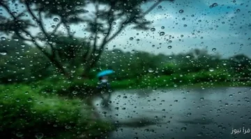 573939771 1247857614039470 5242772615219543180 n