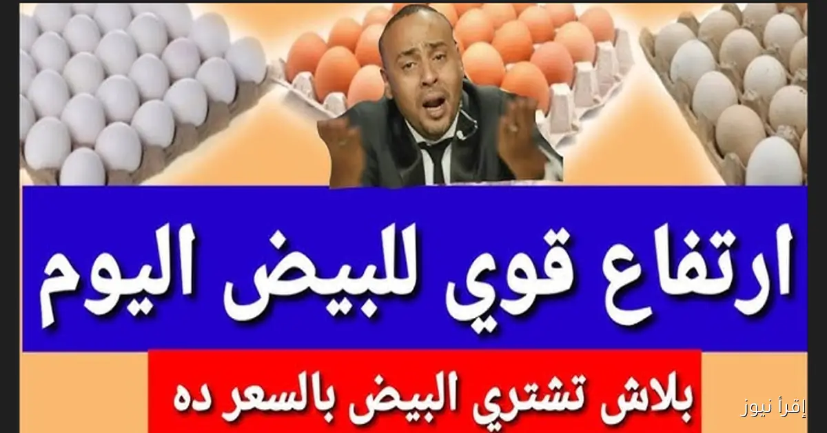 (احمر، ابيض، بلدي) سعر كرتونة البيض اليوم في بورصة الدواجن والأسواق المصرية