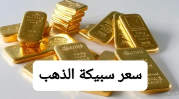 IMG ٢٠٢٥١٠٢٠ ١٨٣٩٥٤ 1