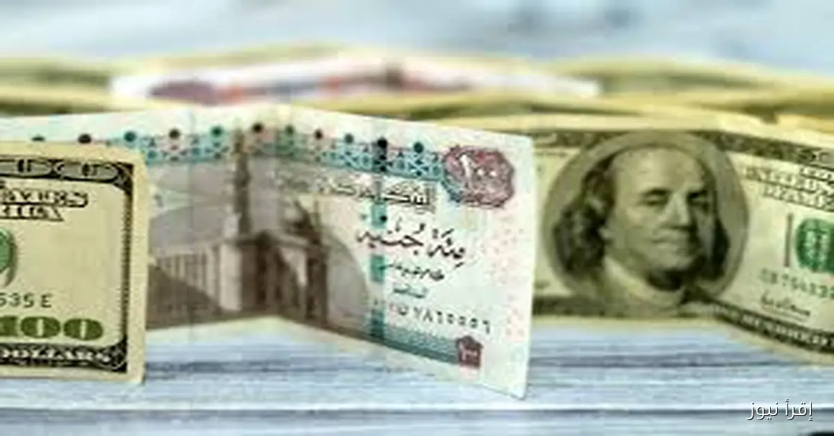 “مُباشر الان”.. سعر الدولار اليوم مقابل الجنيه المصري الاحد 2 نوفمبر 2025 بالسوق السوداء
