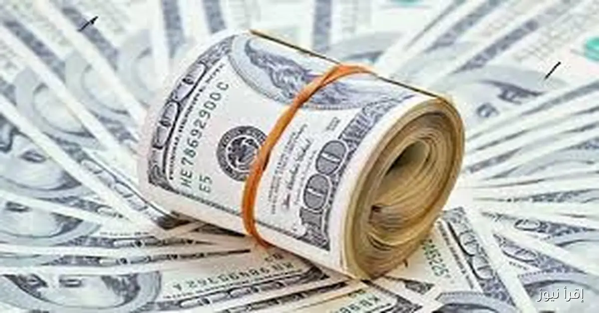 “دولار،يورور،ريال”.. أسعار العملات في السوق السوداء اليوم في مصر الاربعاء 5 نوفمبر 2025
