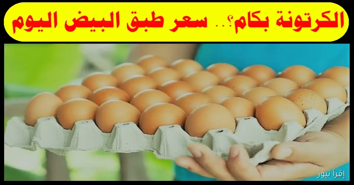 سعر كرتونة البيض اليوم في بورصة الدواجن الرئيسية والأسواق المصرية للمستهلكين