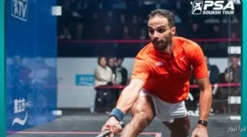 أبو الغار يحقق لقب بطولة الصين المفتوحة للاسكواش