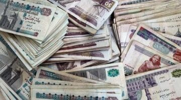 أرصدة تمويل المشروعات الصغيرة ومتناهية الصغر تسجل 92 مليار جنيه