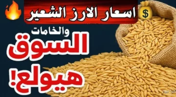 أسعار الأرز الشعير 1