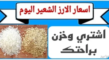أسعار الارز الشعير