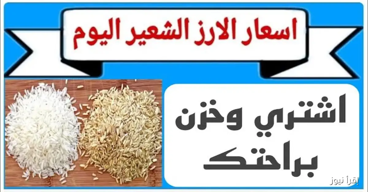قبل ما تشتري .. سعر طن الأرز الشعير اليوم الخميس 6-11-2025 للمستهلك