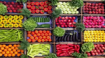 أسعار الخضروات اليوم