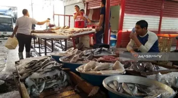 أسعار المكرونة السويسي والأسماك والمأكولات البحرية في سوق العبور زادت.webp