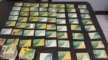 إزاي تضيف المواليد على بطاقات التموين قبل نهاية 2025