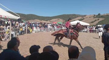 إعادة إحياء التقاليد العريقة مهرجان الفروسية في تسكراية تونس يضيء