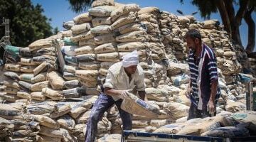 استقرار أسعار الأسمنت في السوق المصري اليوم السبت 22 نوفمبر