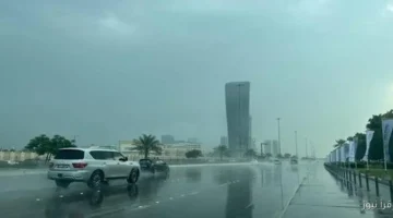 الأرصاد بتنبه من حالة الطقس يوم الأربعاء 26 نوفمبر 2025