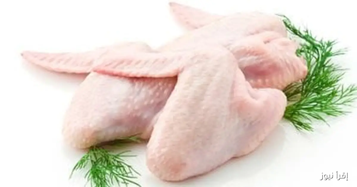 «الفراخ نزلت».. تراجع جديد في أسعار الدواجن بعد زيادة المعروض في الأسواق