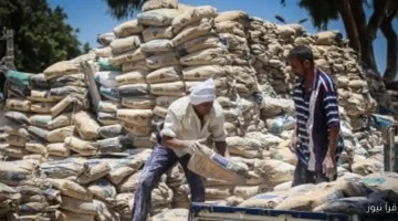 النهارده الأسعار اتغيرت سعر الأسمنت يسجل ارتفاعًا ملحوظًا في السوق