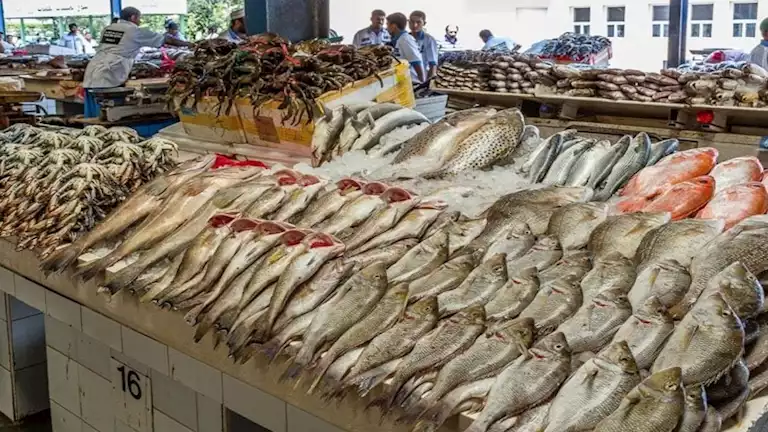 تراجع أسعار الكابوريا.. أسعار الأسماك والمأكولات البحرية في سوق العبور اليوم