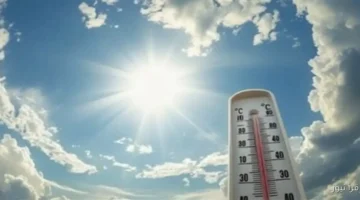 حالة الطقس غدا