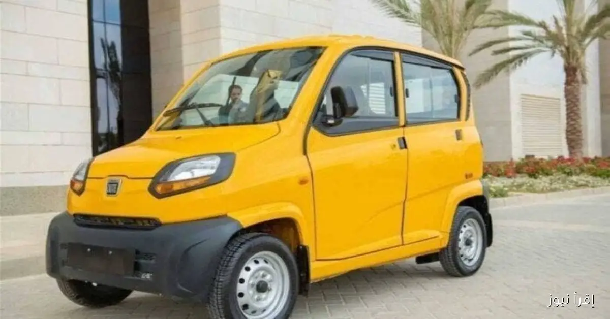 حزمة تمويل سهلة.. إزاي تقدر تجيب عربية بديلة للتوك توك في الجيزة