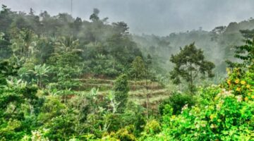 خبراء لـ الإخبارية قمة COP30 ما حققتش نجاح في حماية