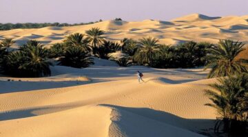 دوز التونسية مقصد صحراوي مميز للسياحة في الشتاء