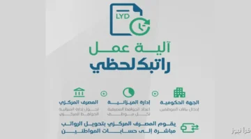 رابط منظومة راتبك لحظي