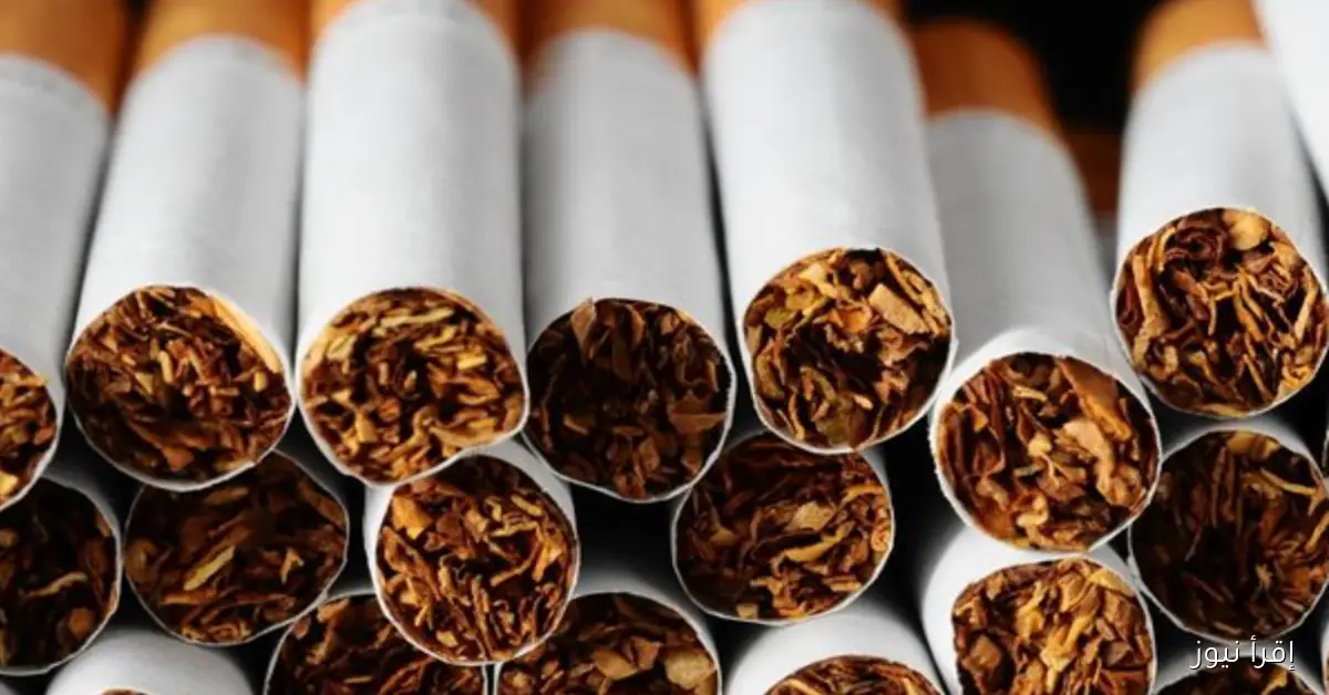 سعار السجائر