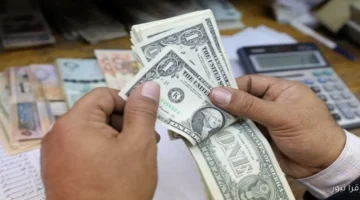 سعر الدولار قدام الجنيه في نص تعاملات يوم الثلاثاء 25