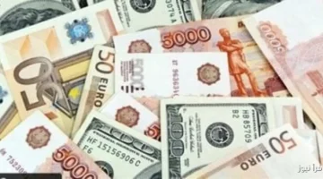 سعر العملات الأجنبية أمام الجنيه المصري اليوم الأحد 16 نوفمبر