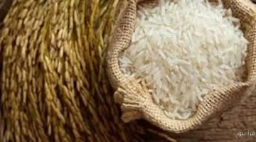 سعر طن الأرز الشعير اليوم 1