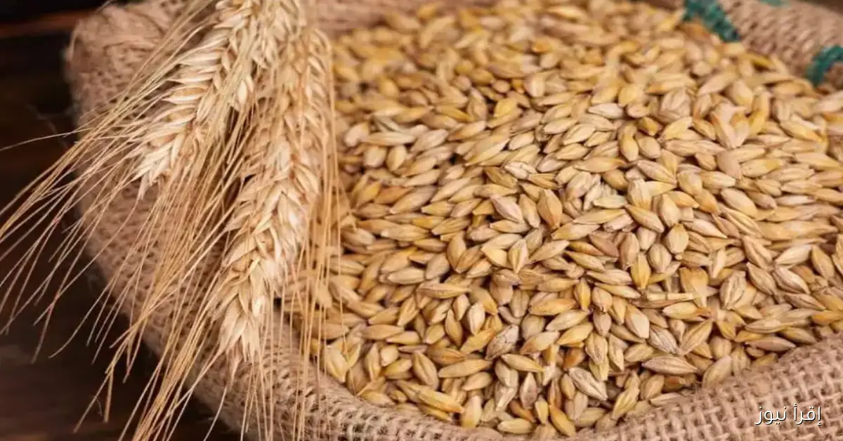 سعر طن الأرز الشعير اليوم