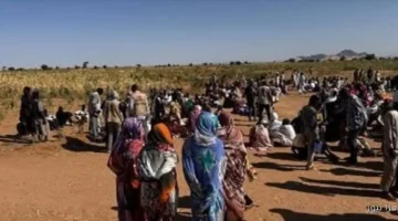 مدير إعلام دارفور يعلن توثيق جرائم الحرب في السودان أمام