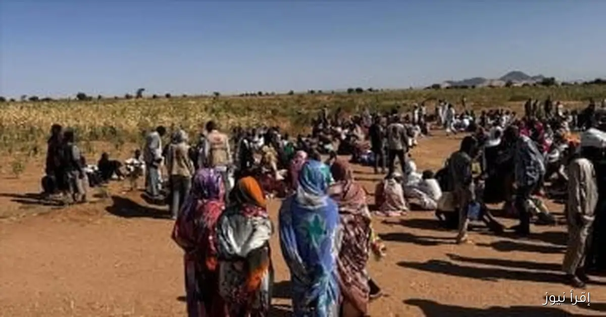 مدير إعلام دارفور يعلن توثيق جرائم الحرب في السودان أمام أنظار العالم