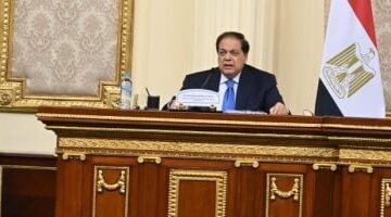 مصر تحقق إشادة دولية بدورها في دعم فلسطين وتعزيز شراكتها