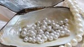 مصر تحقق قفزة في صادراتها للإمارات تصل إلى 4 مليارات