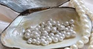 مصر تحقق قفزة في صادراتها للإمارات تصل إلى 4 مليارات دولار بفضل اللؤلؤ والسيارات