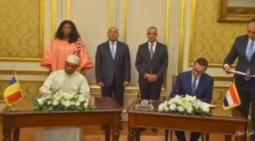 مصر تعلن عن رغبتها في التعاون مع تشاد لتنفيذ اتفاقية