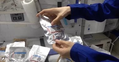 مصر تعلن نجاح زراعة الخضار في الفضاء وتكشف عن آمال الزراعة على المريخ