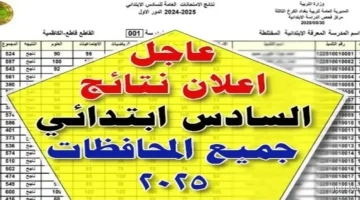 نتائج السادس