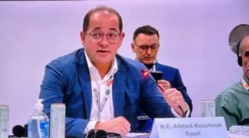 وزير المالية يكشف عن تطلعات لدور أكبر للمؤسسات الدولية في