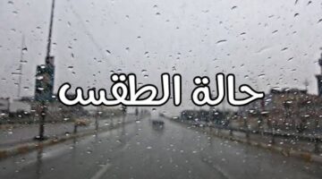 42538af2ef61a4e4bc02c8f3182418ae 1 8