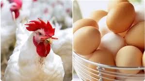 images 2025 12 07T154233.262