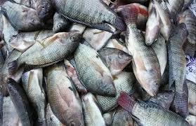 images 2025 12 08T110859.893