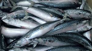 images 2025 12 12T175052.878