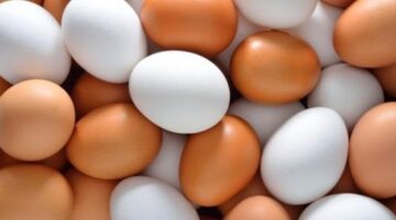 أسعار البيض في الأسواق اليوم الثلاثاء 2 ديسمبر 2025 الطبق