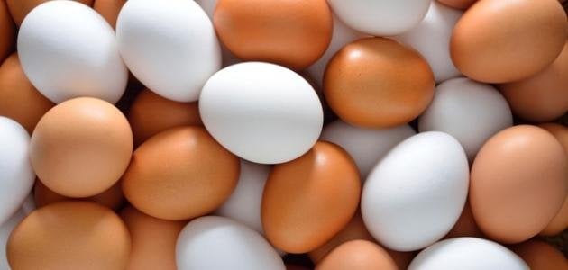 أسعار البيض في الأسواق اليوم الثلاثاء 2 ديسمبر 2025.. الطبق بكام؟