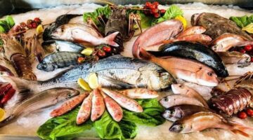 أسعار السمك والجمبري النهاردة الثلاثاء 2 ديسمبر 2025 البوري بـ